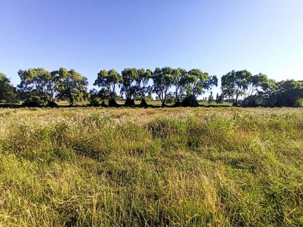 CAMPO, TERRENO AGRÍCOLA EN VENTA, 19,39 HA - RÍO CLARO