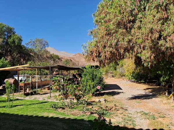 VENTA DE PARCELA  CON CASA EN  SECTOR LA VIÑITA, VICUÑA