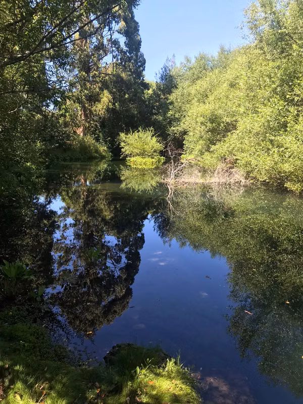 CON ACCESO EXCLUSIVO AL RIO TOLTEN, PARA PESCA Y RECREACIÓN
