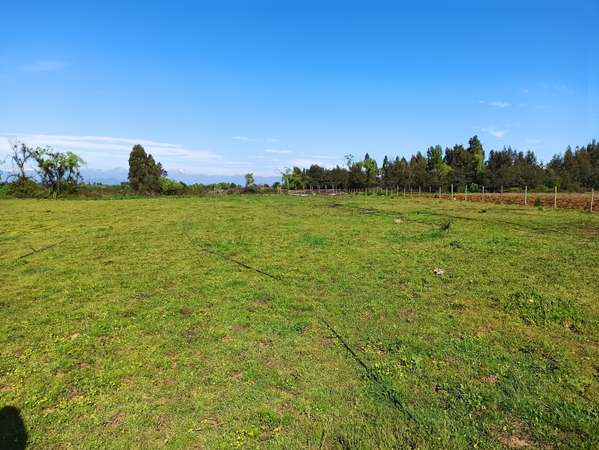 PROPIEDAD AGRÍCOLA DE 6,8 HA EN VENTA EN SAN CLEMENTE