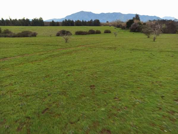 CAMPO AGRÍCOLA EN VENTA, 58 HA, RÍO CLARO, REGIÓN DEL MAULE