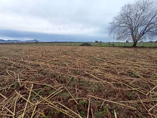 CAMPO AGRÍCOLA EN VENTA, TERRENO DE 58 HA, RÍO CLARO