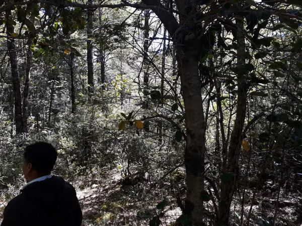 SITIO 5.000 M2 EN VENTA - CAMINO AL VOLCÁN, PUCÓN