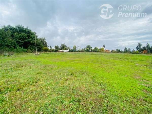 Terreno 5000m2 Sector Las Rastras Ranquimili