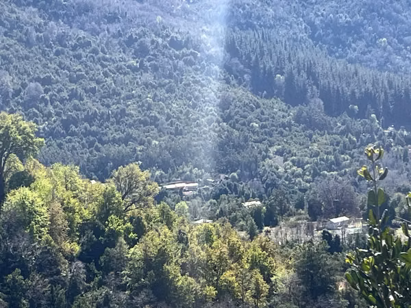 Parcela 5.000 M2