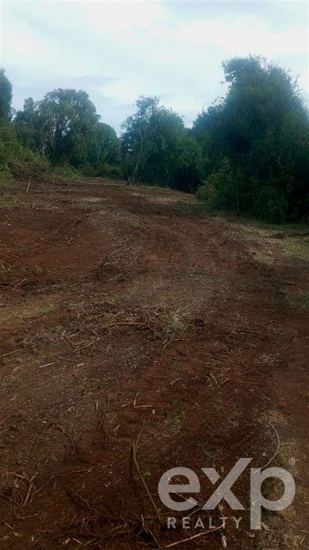 Parcela de 4 hectáreas con río y alto potencial, Perquenco