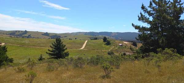 Cabaña en Parcela de 5.000mt2 en Bucalemu  (162379)
