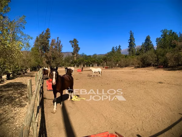Parcela en venta en Hijuelas