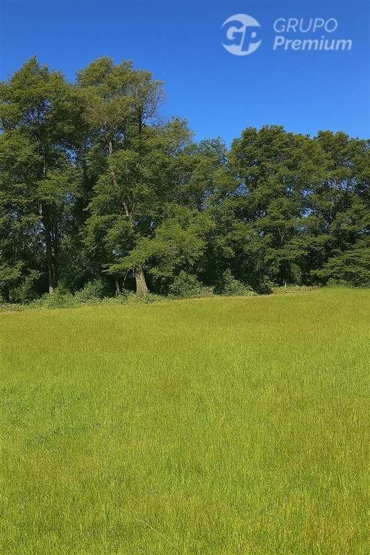 Parcela en venta en Frutillar Raices Los Pellines