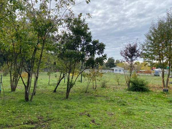 Se Vende Maravillosa Parcela  de 1,0 ha (162827)