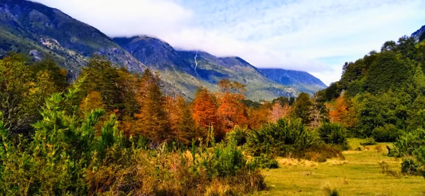 Oportunidad única en el Paraíso del Río Puelo terreno 10.000m2 bosque nativo en venta