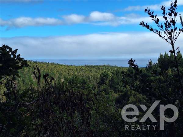 Vende Agrícola L387 en Pichilemu