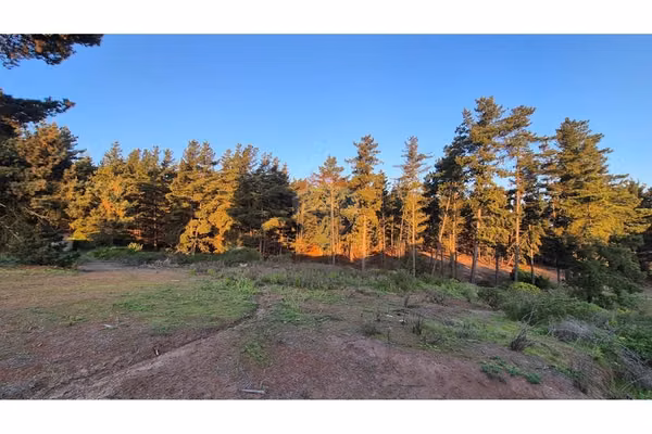 Terreno en loteo rol propio/los pinos (1.763 mts2)