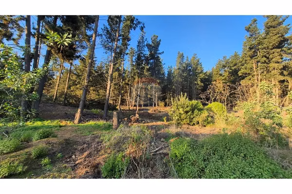 Terreno en condominio, los pinos (1.500 mts2)