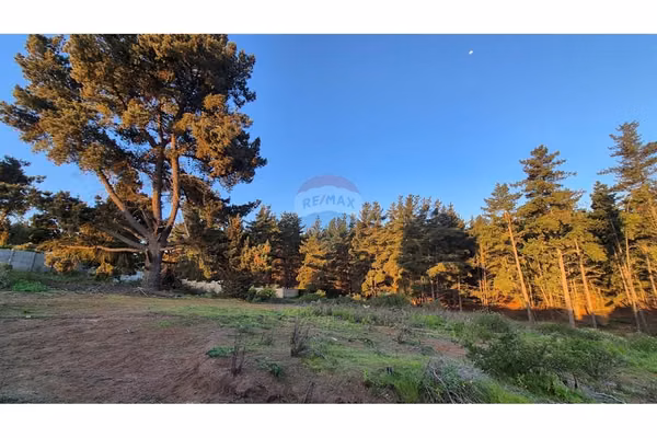 Terreno en loteo rol propio/los pinos (1.763 mts2)