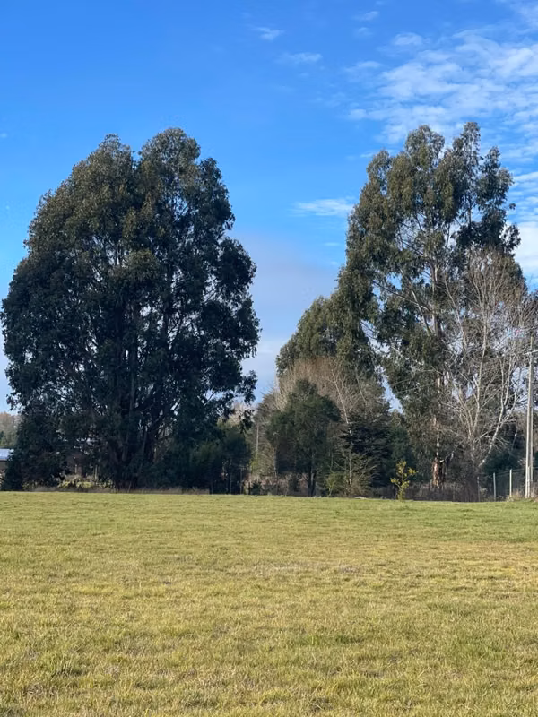 PARCELAS EN VENTA, PANGUILELFÚN, DESDE $35 Y HASTA $60 MILLONES, REGIÓN DE LOS RÍOS