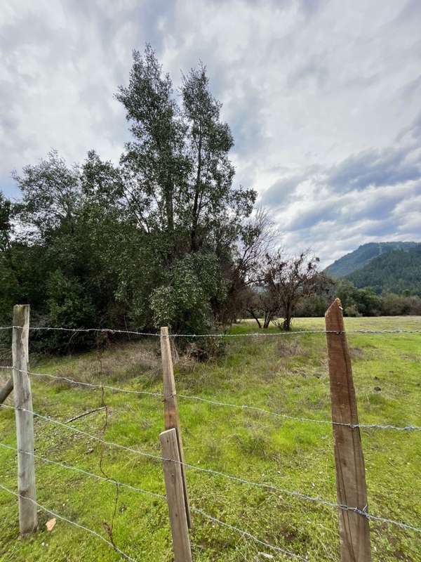 PARCELA 5000M2 ROL PROPIO COLBUN LAGO MANCHICURA