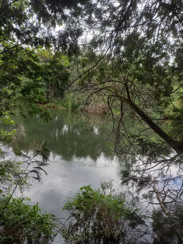 Venta de Parcelas Agrícolas – San Miguel de Manzanache, Mulchén