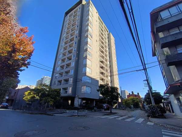 Hermoso departamento 2 dormitorios Freire (163969)
