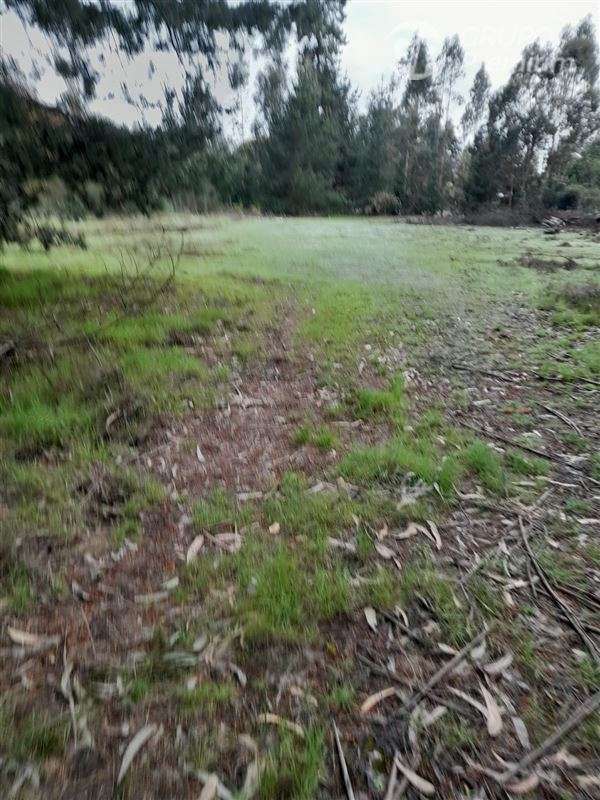 Sitio en venta en Coronel