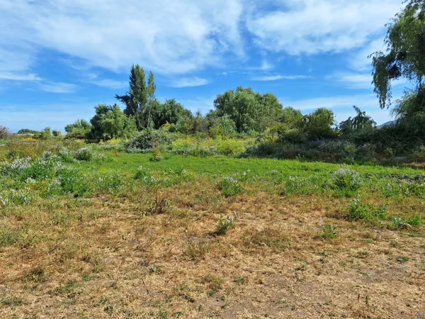 VENDO PARCELA DE 1,5 HECTAREAS EN MAULE