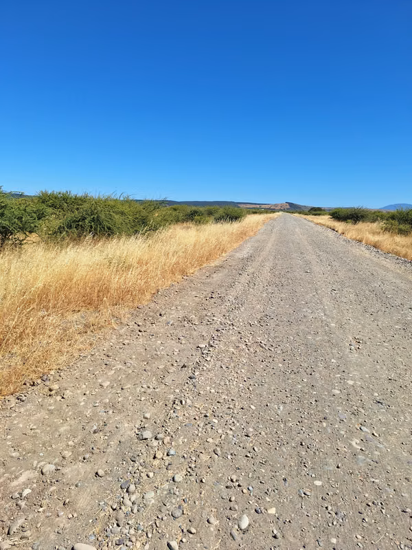 VENDO PARCELA DE 5000 METROS ENTRE PARRAL Y CAUQUENES