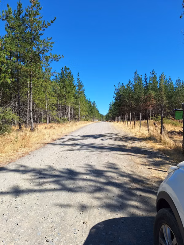 VENDO PARCELA DE 5000 METROS CAMINO A LOS CRISTALES EN TALCA