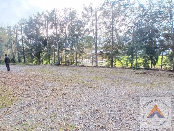  Local comercial en arriendo año corrido – Los Riscos 
