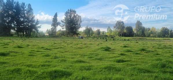 Parcela en venta en Freire