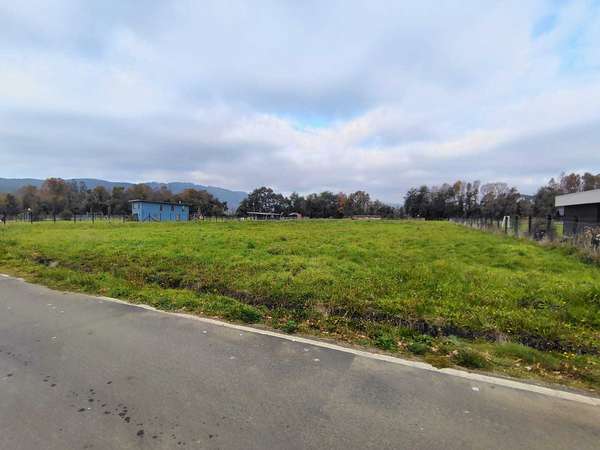 Vendo Parcela Sector el Remanso-Santa Elvira (165647)