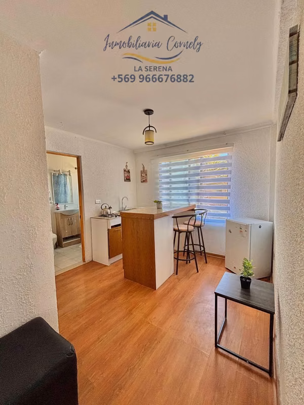 Arriendo semanal depto av del mar (165780)