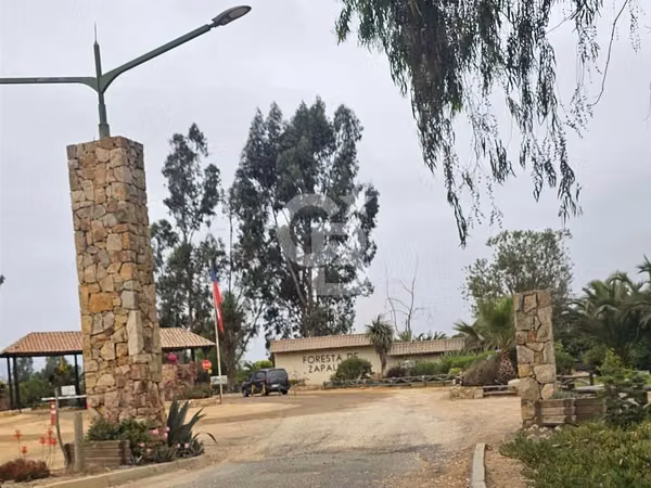 Parcela en Refugio Natural Foresta Zapallar, Oportunidad