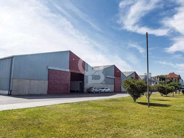 Espectacular bodega en ubicación estratégica
