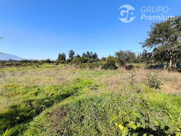 Parcela Agrícola con Derechos de Agua en Venta - Codigua.