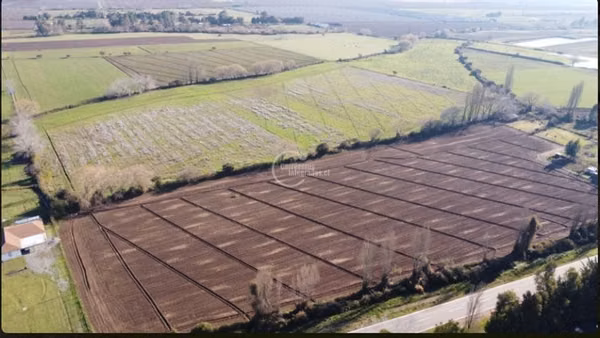Agrícola en venta en Retiro
