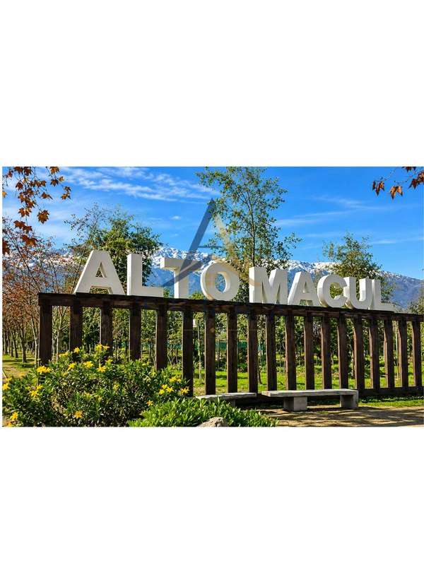 DEPARTAMNTO EN VENTA ALTO MACUL LA FLORIDA (167690)