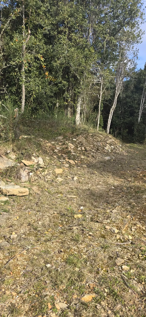 Vendemos hermosa parcela de 5000 m2 a 5 min del de la ciudad de Los Lagos, Región de Los Ríos.