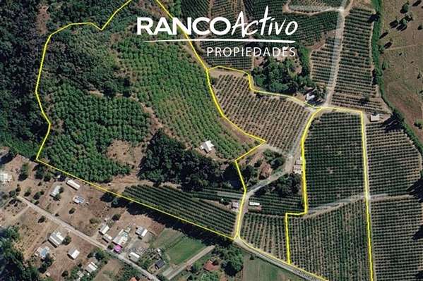 Agrícola en venta en Quillón