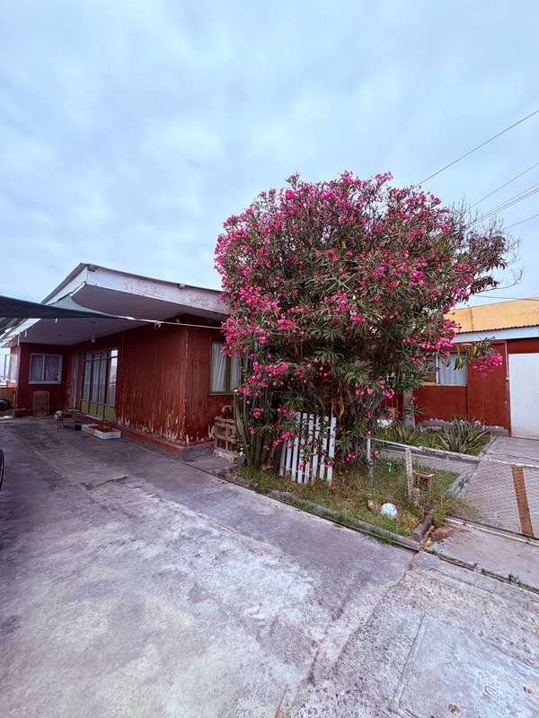 Terreno de 378 mt2 Inversión centro de Arica (167979)