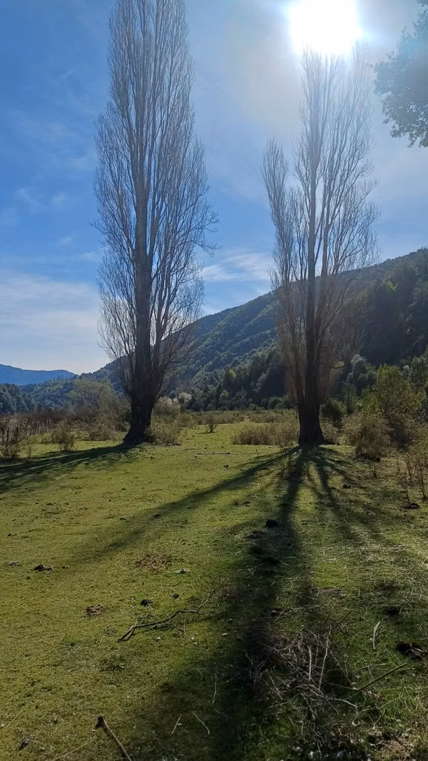 VENTA TERRENO - SITIO 280000MTS Curacautín