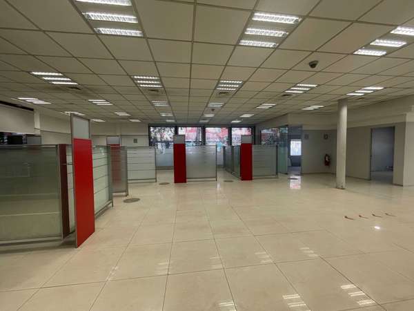 Local Comercial Céntrico y Moderno (168339)