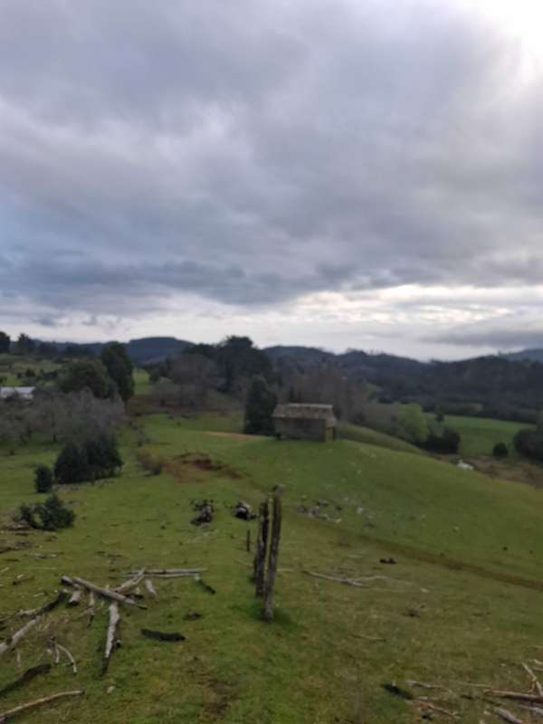 Sector Lafquelmapu, Osorno Region los Lagos (168914)
