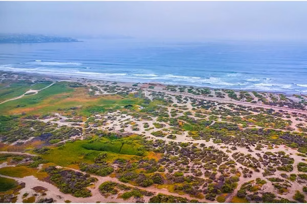 Macrolote playa
