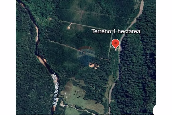 Excelente terreno a orilla de carretera austral