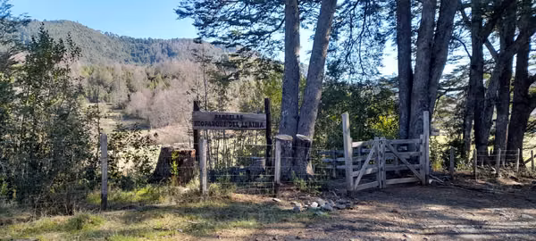 SE VENDE HERMOSA PARCELA DE UNA HECTAREA EN CHERQUENCO