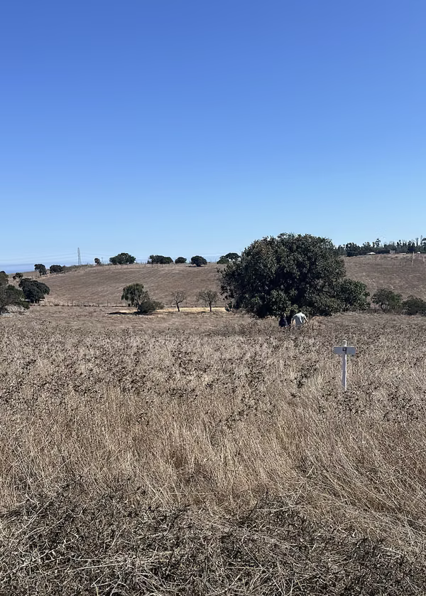 Terrenos en venta