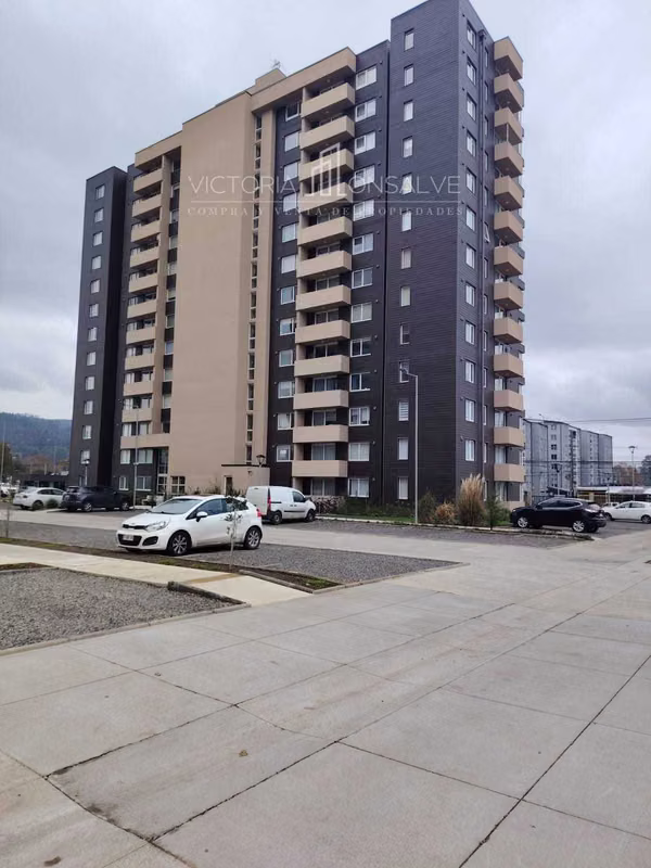 Arriendo Amplio Departamento Circunvalación  (169396)