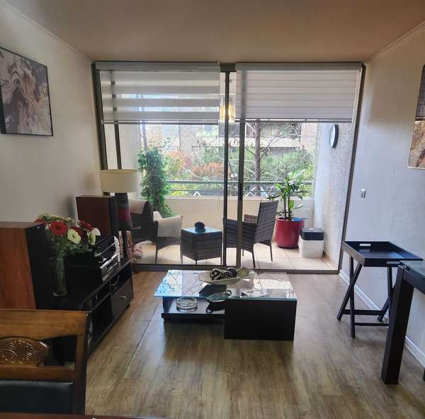 Lindo departamento, cerca metro Chile España (169669)