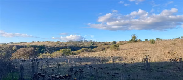 Agrícola en venta en Santo Domingo