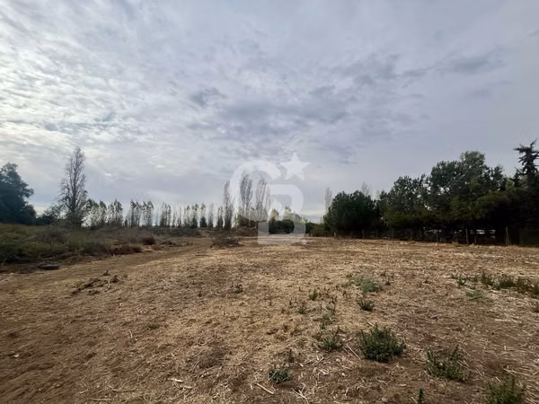 Parcela 5.000 m2 en Lampa-Los Sauces